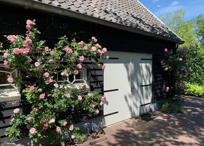 De Porrel Polsbroek Unit Met Prive Jacuzzi, Spa En Sauna